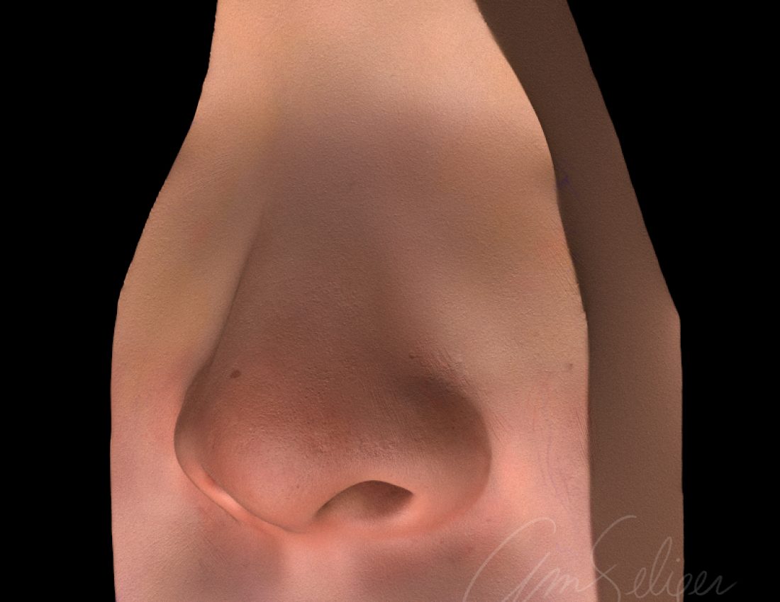 Nose Sculpt